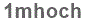 The text to enter in the texbox below is: 1mhoch