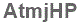 The text to enter in the texbox below is: AtmjHP