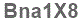 The text to enter in the texbox below is: Bna1X8