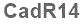 The text to enter in the texbox below is: CadR14