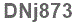 The text to enter in the texbox below is: DNj873