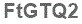 The text to enter in the texbox below is: FtGTQ2