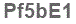The text to enter in the texbox below is: Pf5bE1