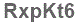 The text to enter in the texbox below is: RxpKt6