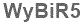 The text to enter in the texbox below is: WyBiR5