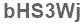 The text to enter in the texbox below is: bHS3Wj