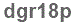 The text to enter in the texbox below is: dgr18p