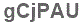 The text to enter in the texbox below is: gCjPAU