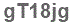 The text to enter in the texbox below is: gT18jg