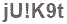 The text to enter in the texbox below is: jU!K9t