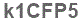 The text to enter in the texbox below is: k1CFP5