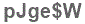 The text to enter in the texbox below is: pJge$W