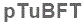 The text to enter in the texbox below is: pTuBFT