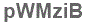 The text to enter in the texbox below is: pWMziB