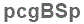 The text to enter in the texbox below is: pcgBSp