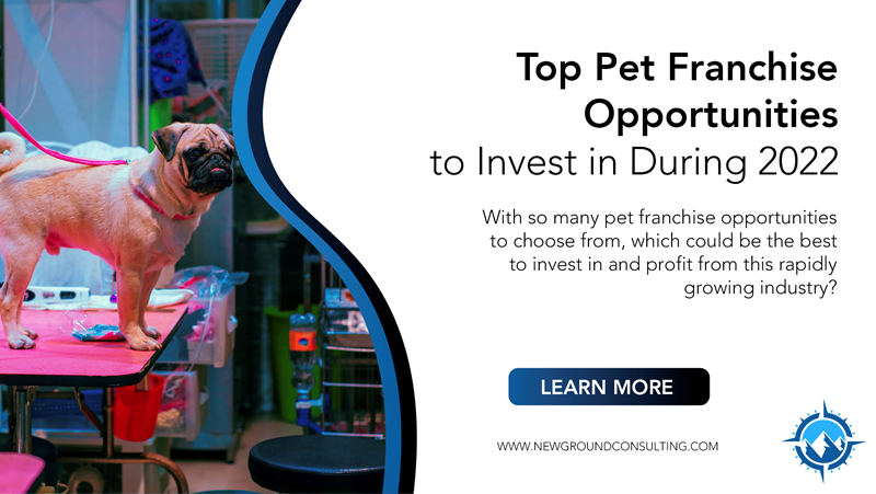 Top Pet Franchise Opportunities to Invest in During 2022