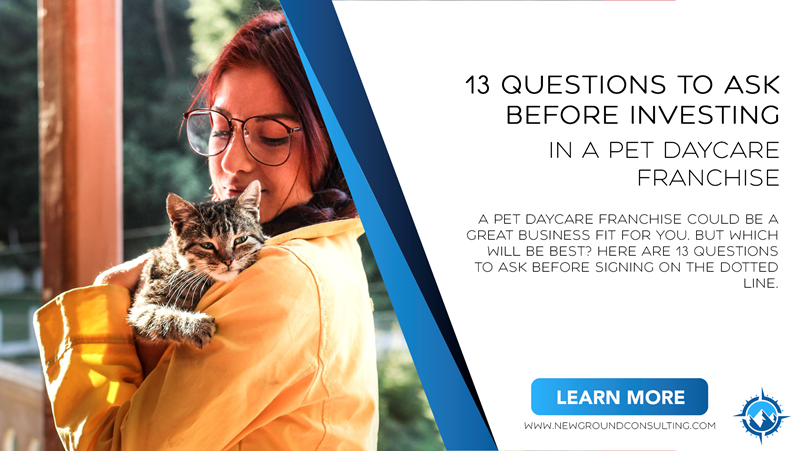 13 Questions to Ask Before Investing in a Pet Daycare Franchise